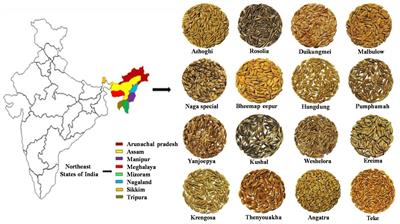 Diverse Rice Landraces of North-East India Enables the Identification of Novel Genetic Resources for Magnaporthe Resistance